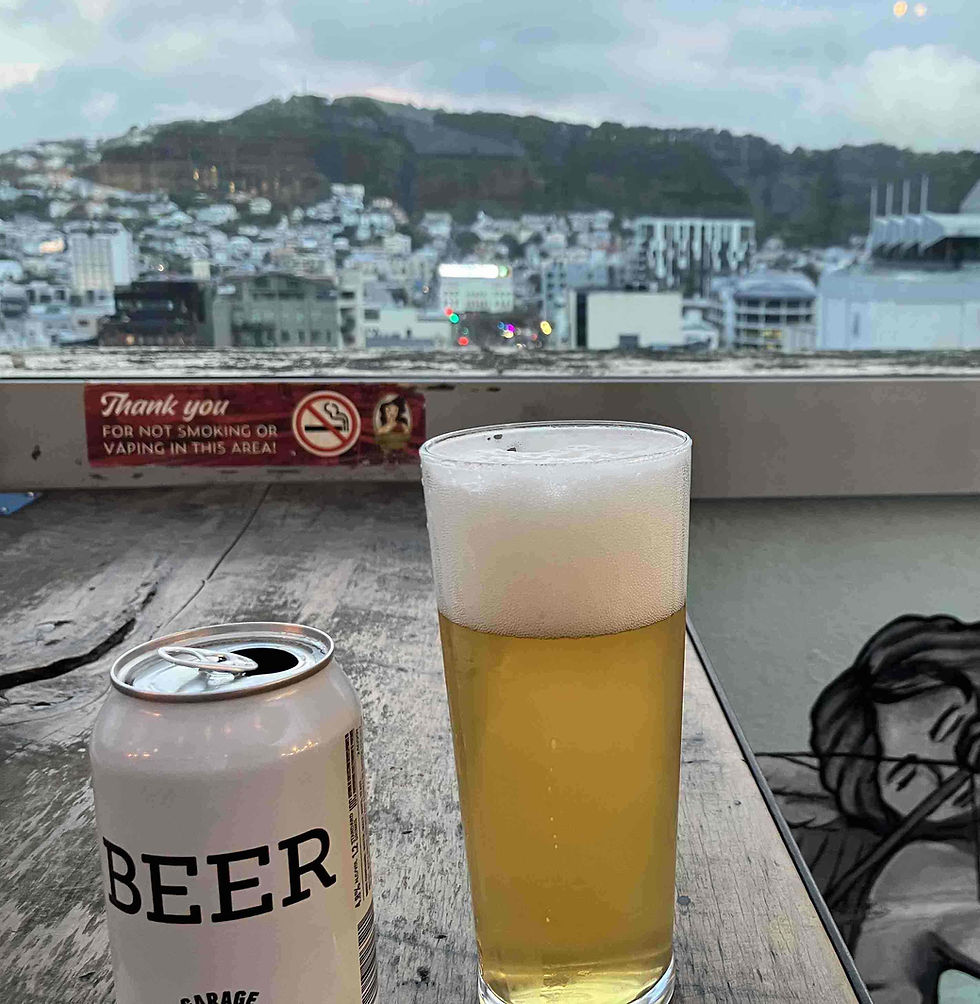 BEER with VIEW