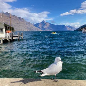 42.533 Hours in Queenstown, New Zealand