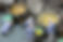 pixta_94781167_M.jpg