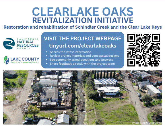 Revitalization Initiative.gif