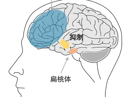 なぜギャンブルで心臓がドキドキするのか？心理と脳科学で解説！