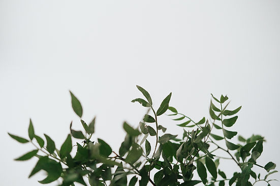 pexels-anete-lusina-4792352_edited.jpg