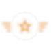 ICON_EXPERIENCE.png