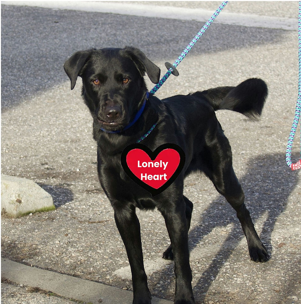 "Lonely Hearts Club" member.