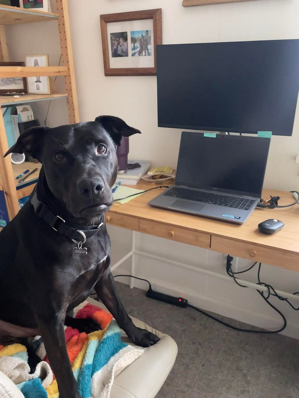 He wants to be wherever you are!