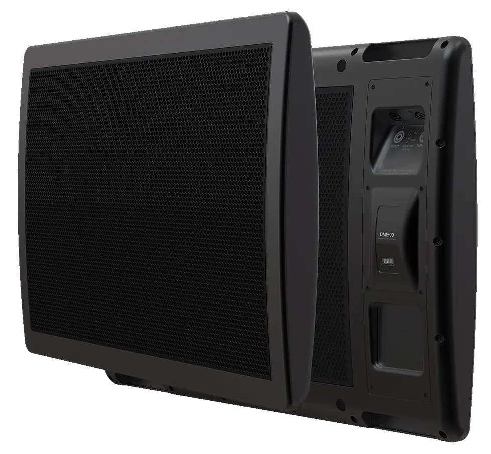DML500 Loudspeaker.webp