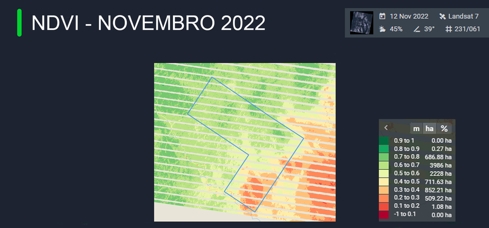 ndvinovembro22.png