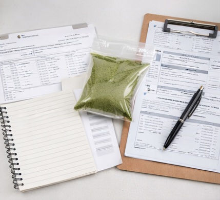 Whole-plant Ashitaba powder sample for R&D and procurement review