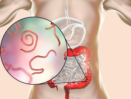 Understanding Intestinal Parasites: The Good, the Bad, and How Colon Hydrotherapy Can Help