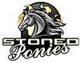 stoned_ponies_logo.png