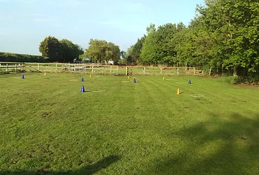Large paddock.webp