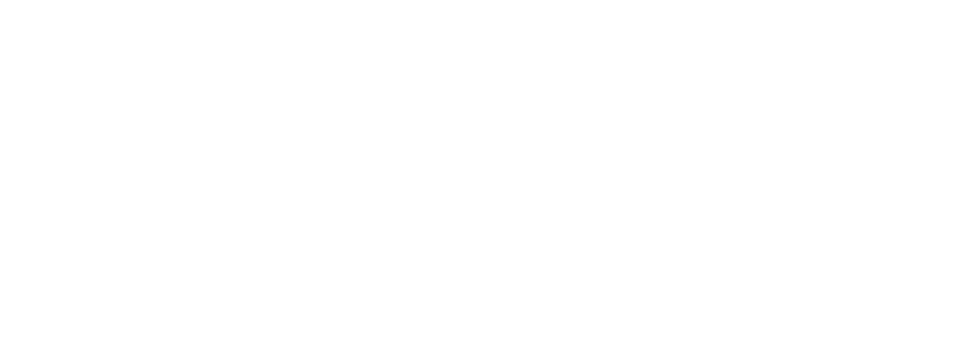 White logo - no background.png