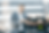best commercial real estate podcasts