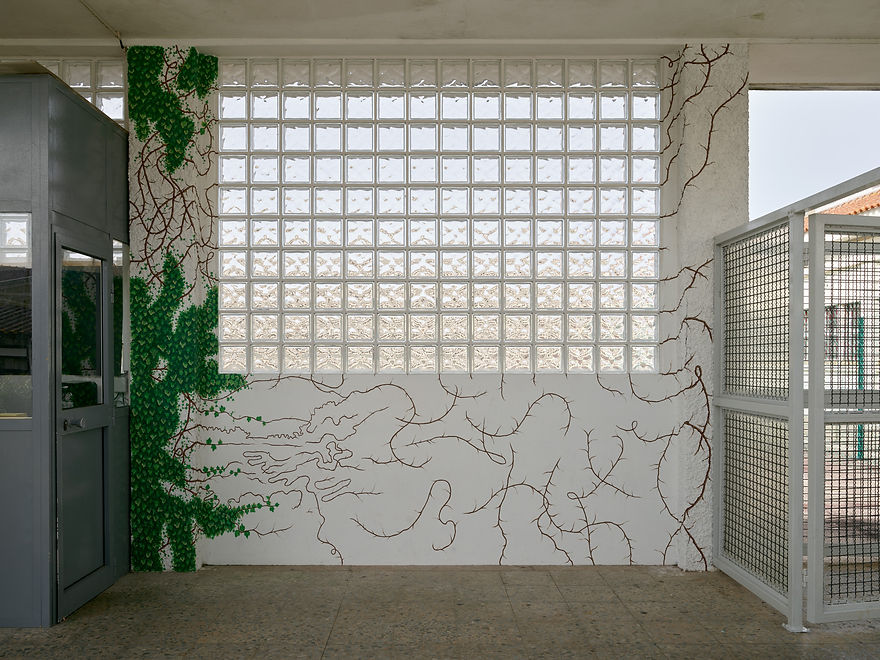 A leaf in the pocket wall 1 (creditos Filipe Braga)