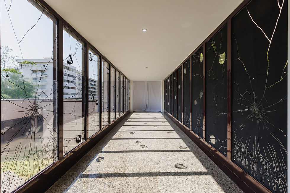 12_HUGO ADELINO_PEQUENAS_TM.jpg