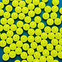 pickleballs.jpg