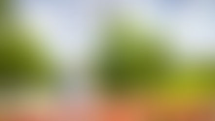 Свадебное торжество Ивана и Аллы