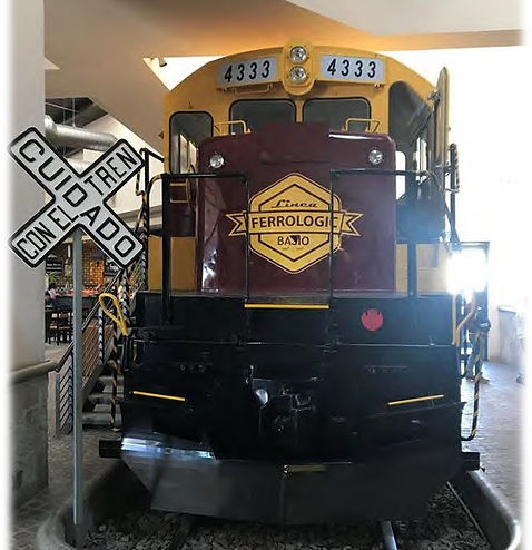 locomotora ferrologic.jpg
