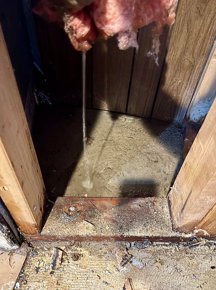 Water Damage Brandon.jpg
