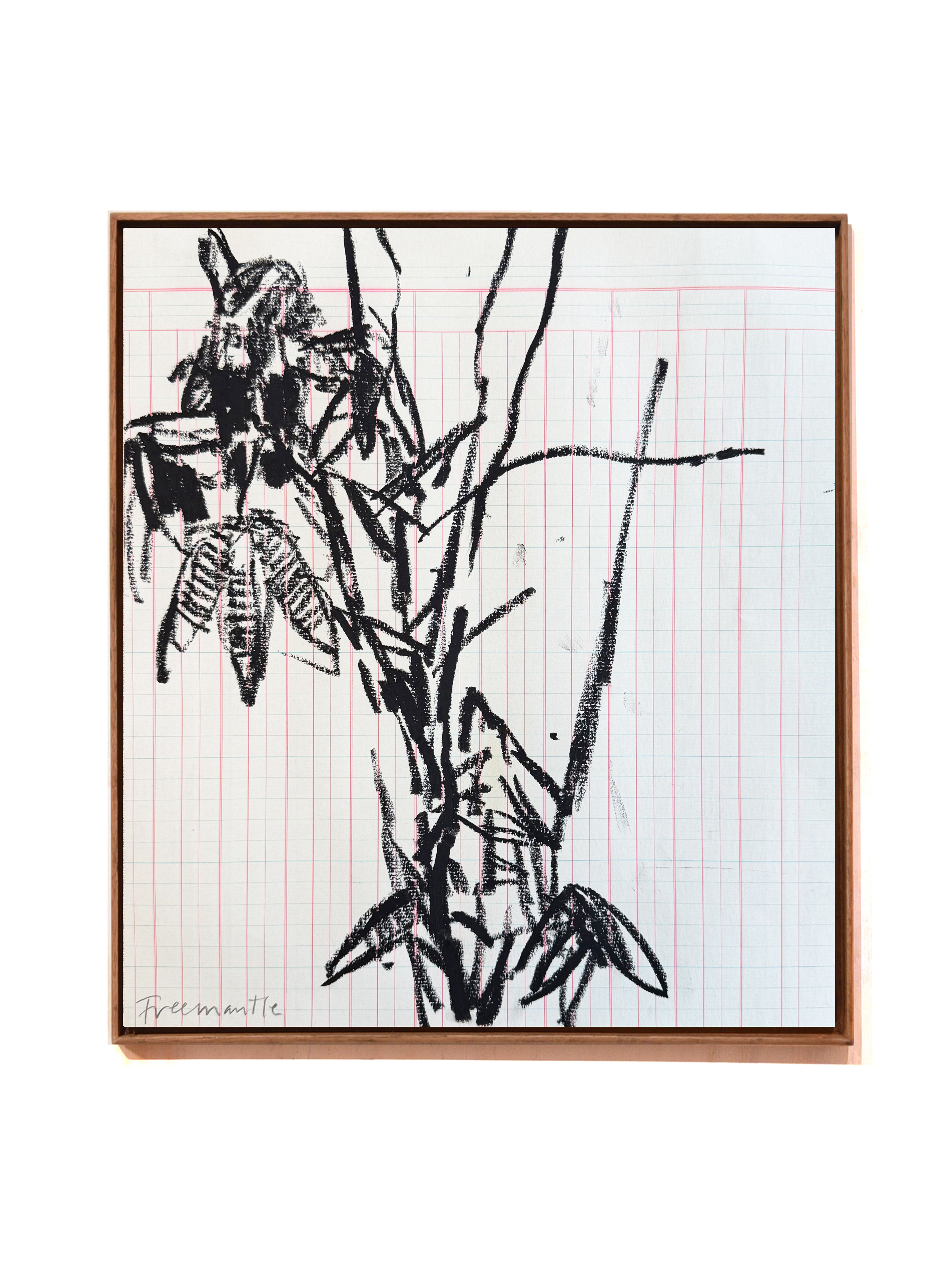 Daily Study #1187 ~ Plant study (I)