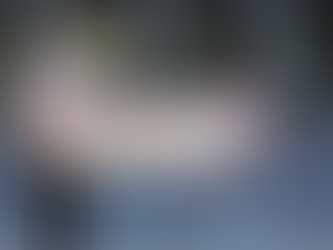 Your Favourite Queen's Retailer