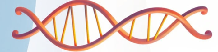 DNA