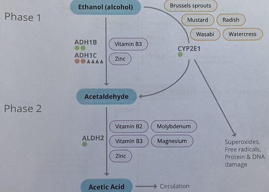 Part of Detoxification Report