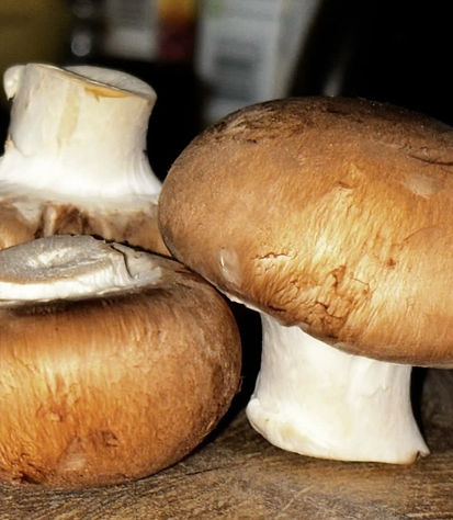 Mushrooms