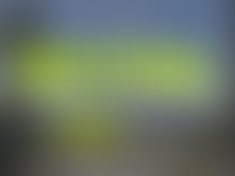 REVIVAL Run Club · 24th January