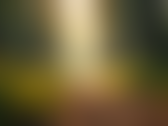 The Benefits of Having a Spiritual Guidance Mentor