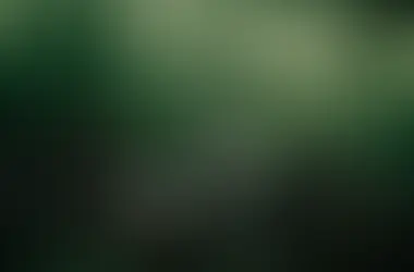 What Are Common Causes of Water Damage in Lubbock?