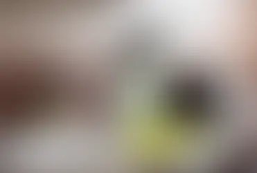 The Rise of Organic Cleaning Solutions in Modern Homes