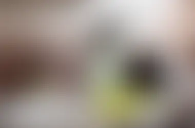 The Rise of Organic Cleaning Solutions in Modern Homes