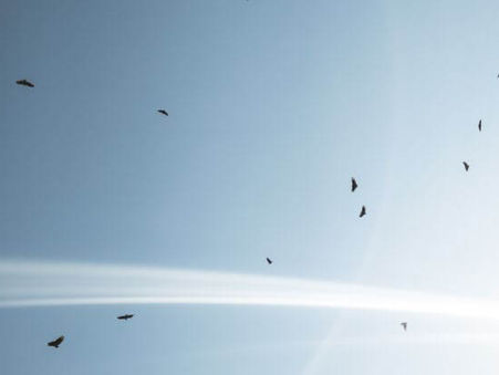 10 Journal Prompts to Help Heal Yourself
