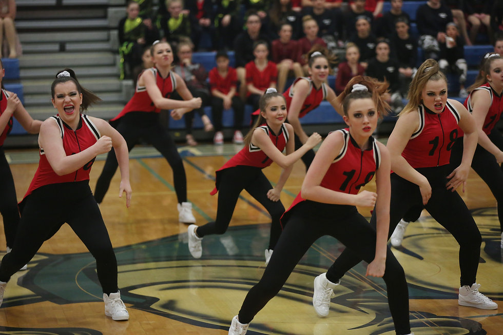 Vision Dancers - State 2019.jpeg