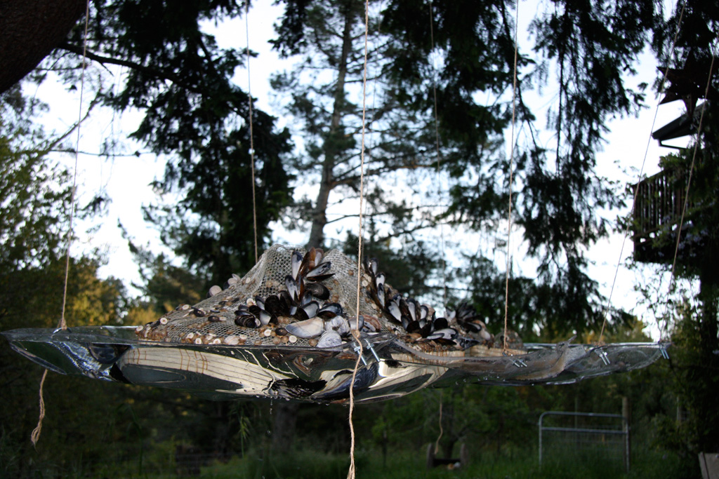 Island of Trash