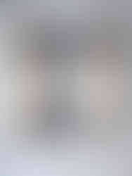 Dolly frame with all 4 casters attached