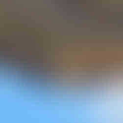 gaps for foam insulation under horse trailer, corner