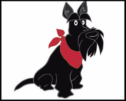 320252_237023393019814_65320986_n_edited