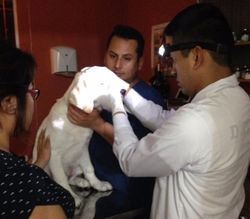 14333629_1767196020225648_6110772178706363570_n_edited