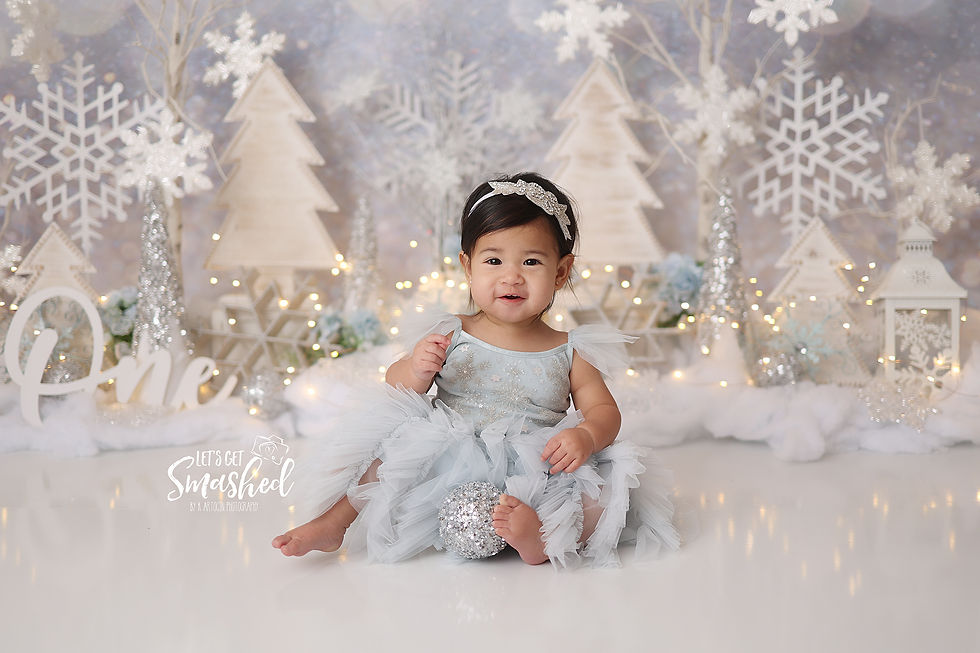 Thumbnail: Silver winter backdrop (WITH PROPS PRINTED on backdrop)