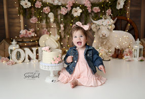 South Jersey Photographer- Highland cow, floral, cowgirl, barn, rustic, 1st birthday