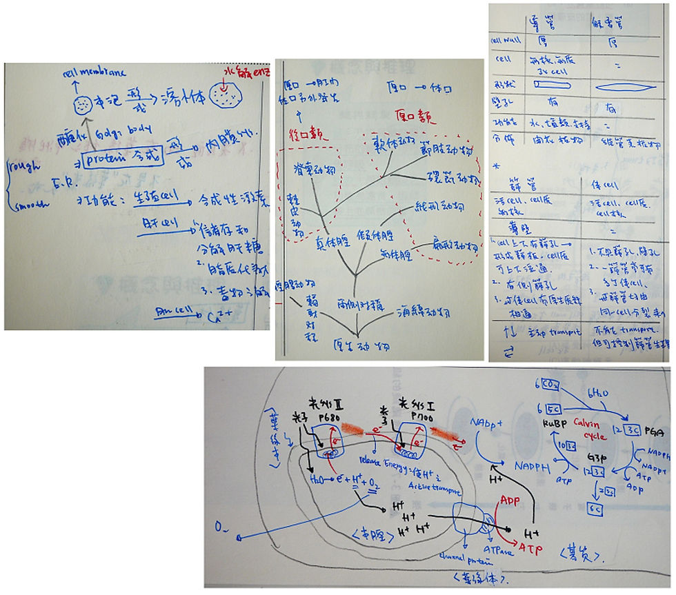 本文中的筆記照片,為莫斯利老師學生時期實際整理的筆記,希望提供同學們整理讀書筆記時參考。