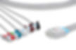 Nihon ECG Leadwires, Compatible