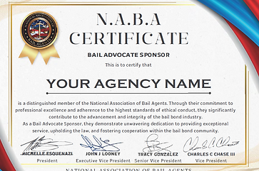 BAIL ADVOCATE SPONSOR