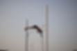 E62F2428-C99A-4AD6-9C5C-367D6D8A4244_1_105_c.jpeg
