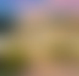 Memorial Villages: An Overview of the Real Estate Market