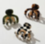 hair clip front view
