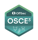 OSCE-SAFERCY.png