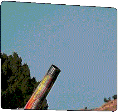 paramount_jackassForever_300x250.gif